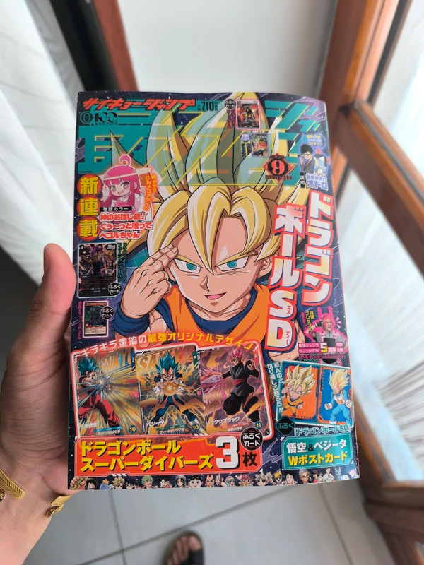 Rivista Dragonball
