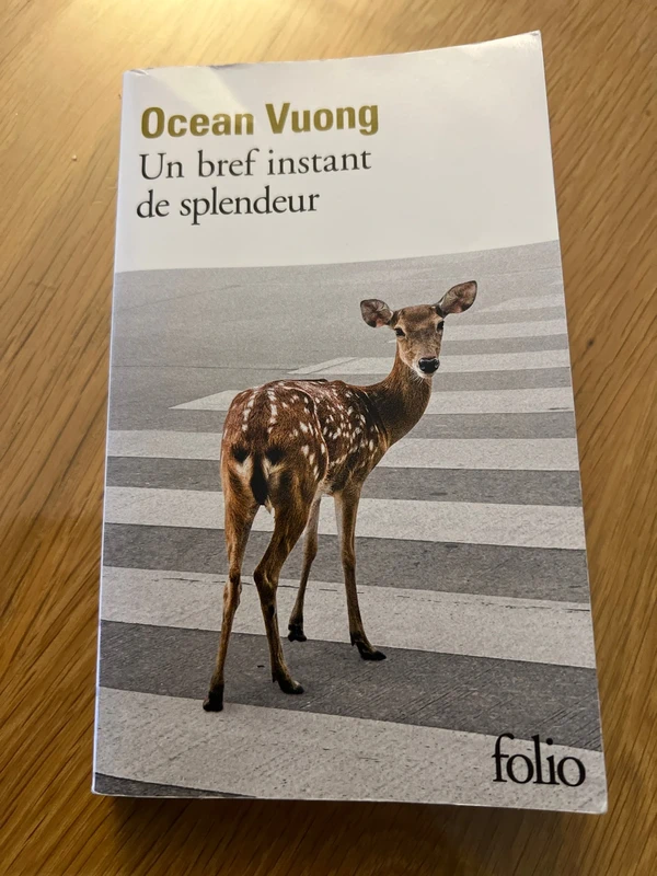 Un bref instant de splendeur d’Ocean Vuong