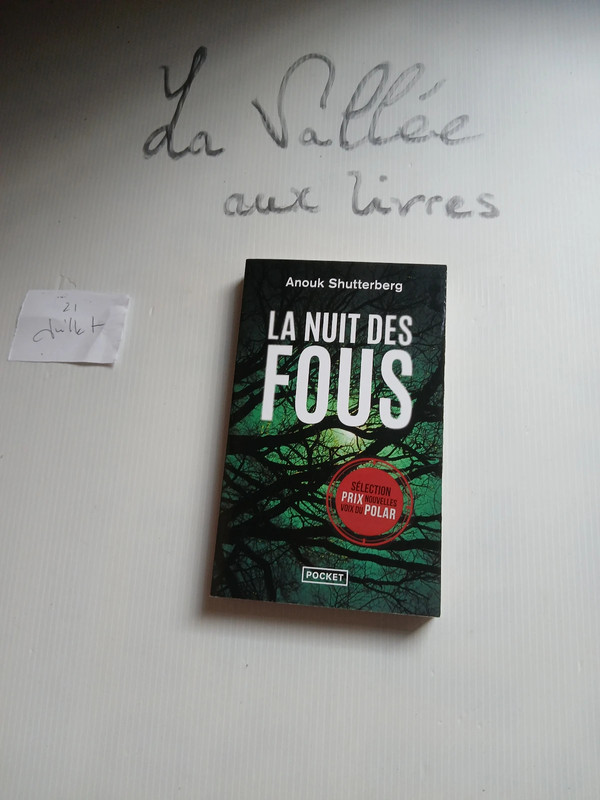 La nuit des fous (thriller)