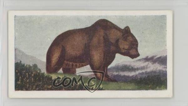 1954 Neilson's Chocolate Interesting Animals Brown Bear #1 0j8f