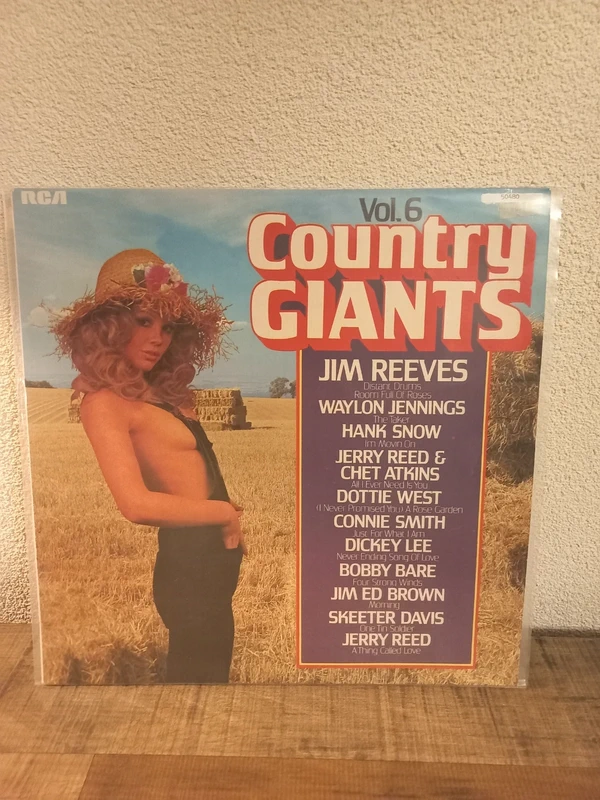 Various – Vol. 6 Country Giants (LP, 1973) - RCA Camden CDS 1153
