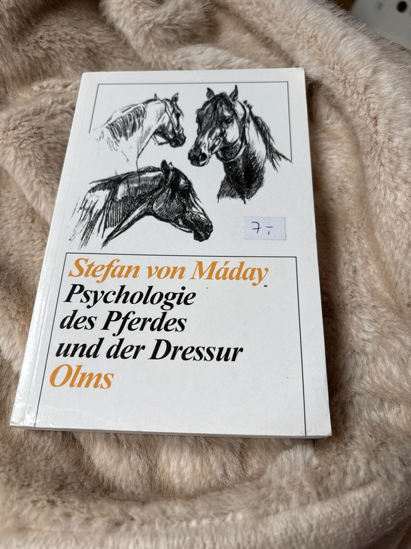 Psychologie der Pferde