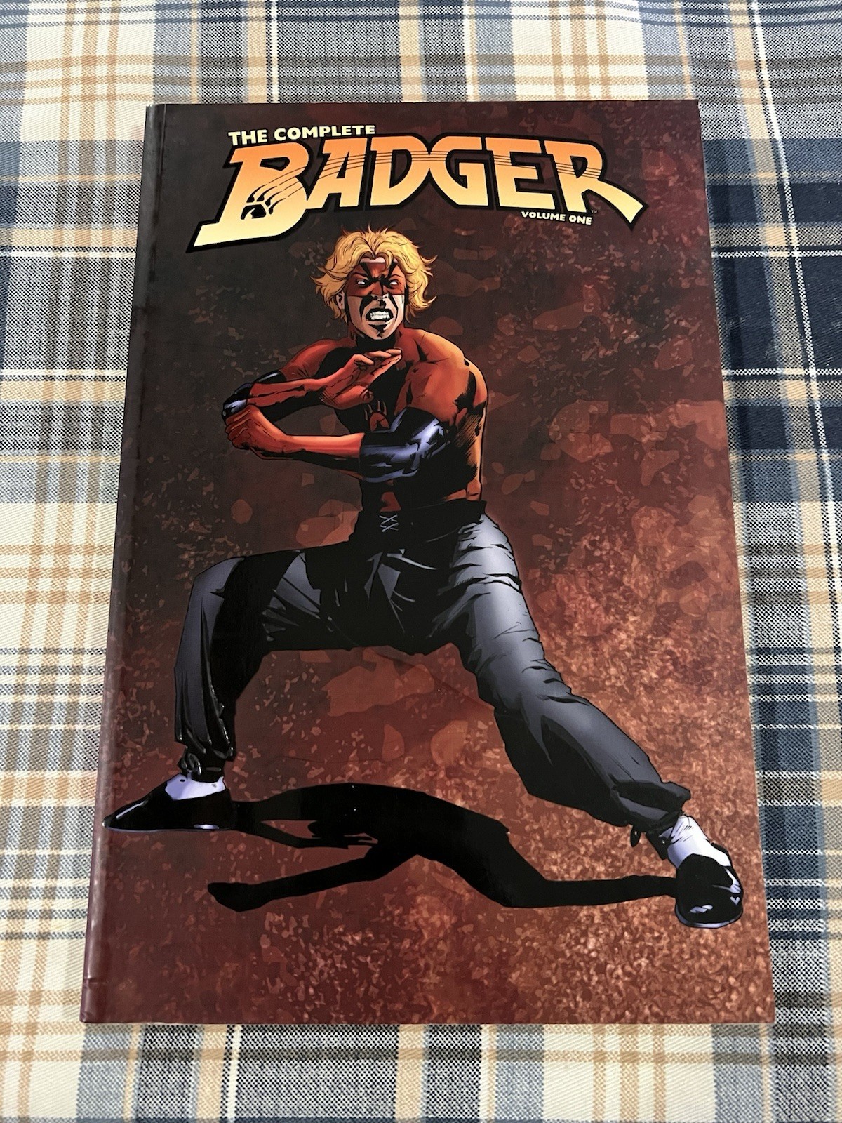 IDW Comics The Complete Badger Volume 1 TPB Graphic Novel