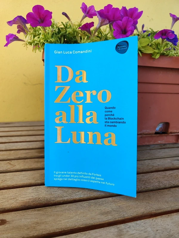 Libro da Zero alla Luna