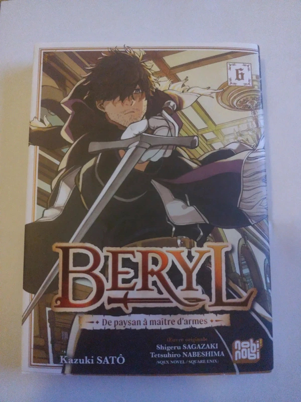 Beryl : de paysan à maître d'armes T06