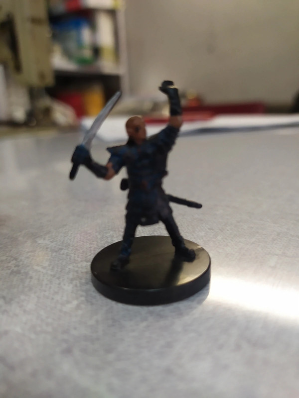 Dungeons & dragon miniatures game