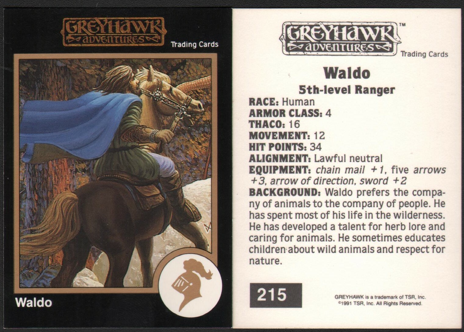 1991 TSR AD&D Gold Border RPG Fantasy Art Dungeons & Dragons Card #215 Greyhawk