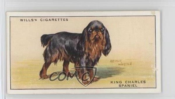 1937 Wills Dogs Tabacco King Charles Spaniel #35 12hh