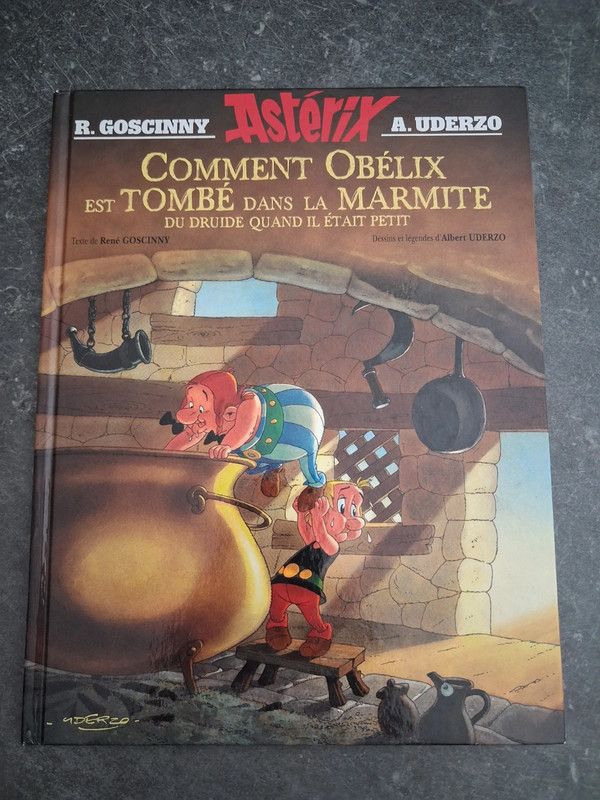 Astérix - Comment Obélix est tombé dans la marmite