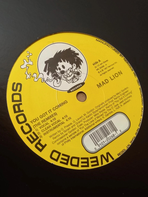 Mad Lion - You Got It Coming Remixes/Brooklyn Massacre 12" Vinyl 1997 Ragga Hip Hop (Weeded) Single