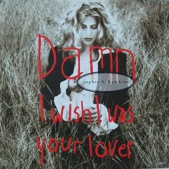 Sophie B. Hawkins - Damn I Wish I Was Your Lover - Used Vinyl Record  - G6244z