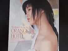 ARANCIONE HOTEL SI PREGA DI NON DISTURBARE Sakai Noriko fotolibro Giappone libro modulo JP