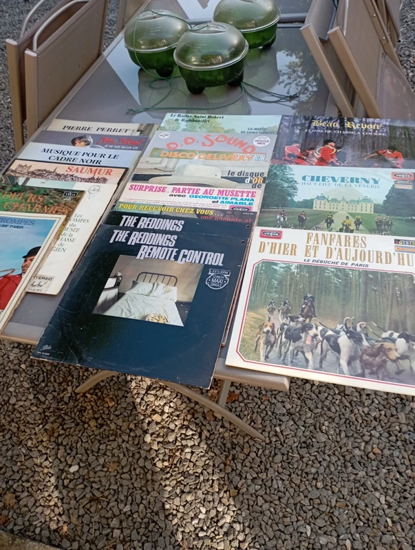 Lot de 17 vinyles 33 tours