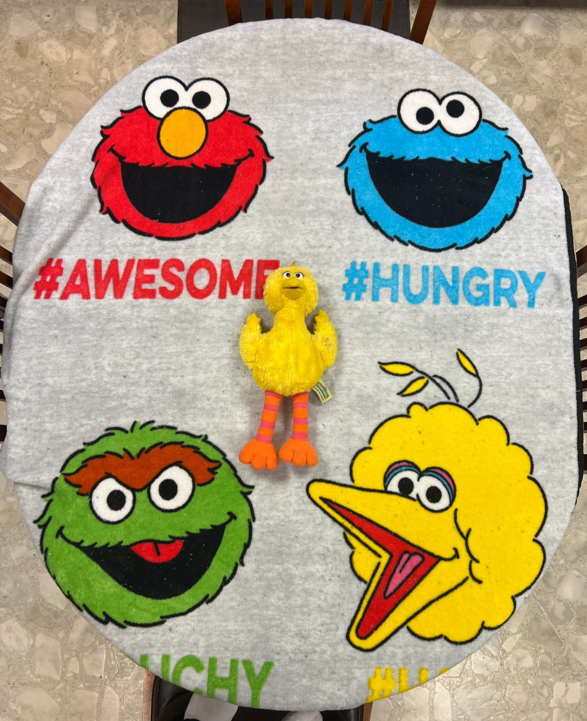 Sesame Street Big Bird Cookie Monster Oscar & Elmo  Throw & 15" Big Bird Plush