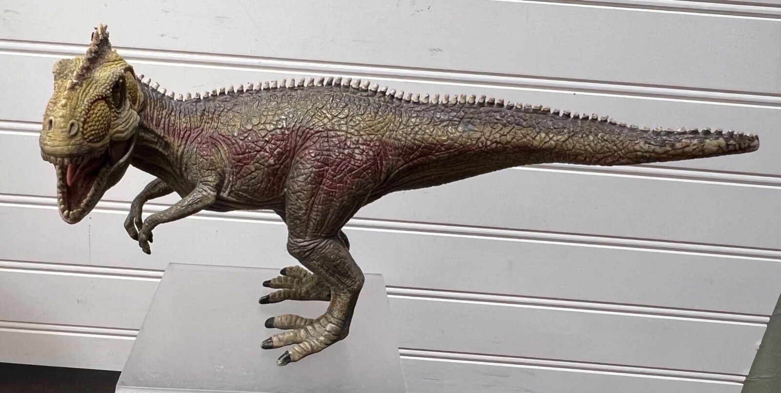 Schleich Giganotosaurus Dinosaur Movable Jaw  D73527 10” T-Rex