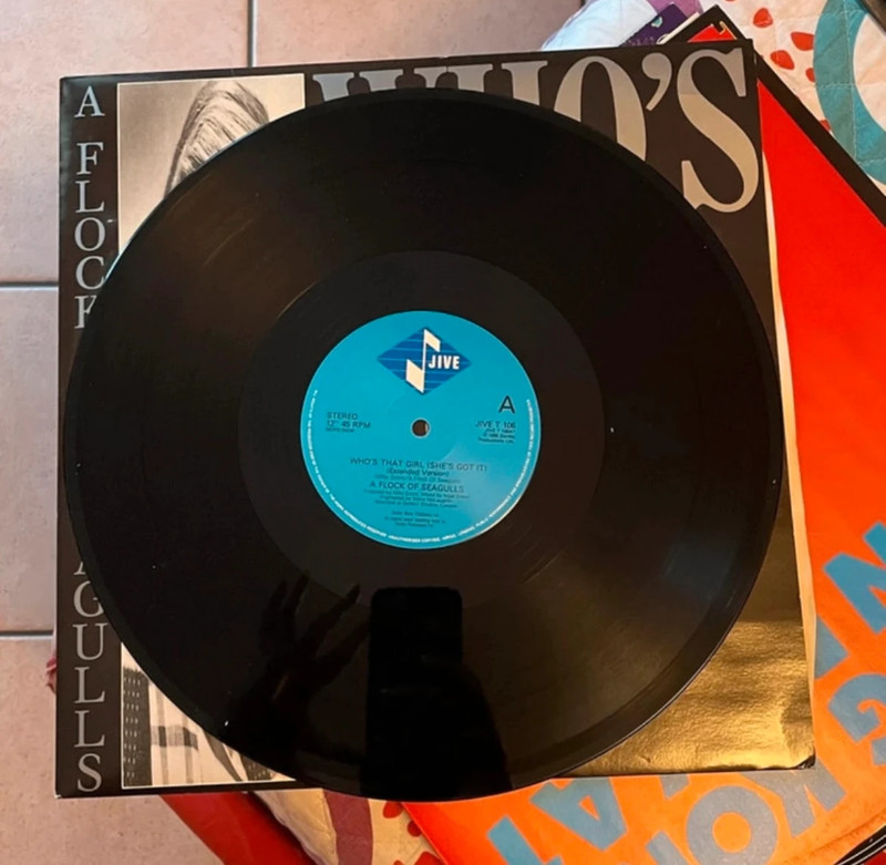 Vinile A Flock Of Seagulls  - Who’s That Girl (She’s Got It) 1986