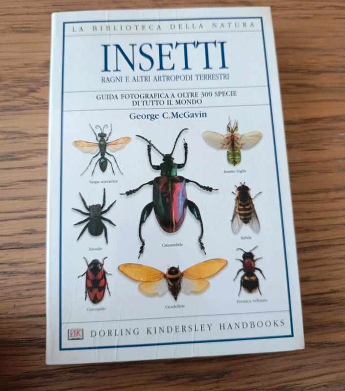 Libro insetti ragni e altri artopodi terrestri
