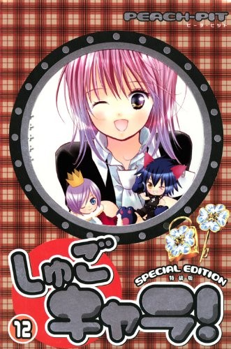 Shugo Chara! #12 Manga Edizione Speciale Giapponese / PEACH-PIT Forma Libro JP