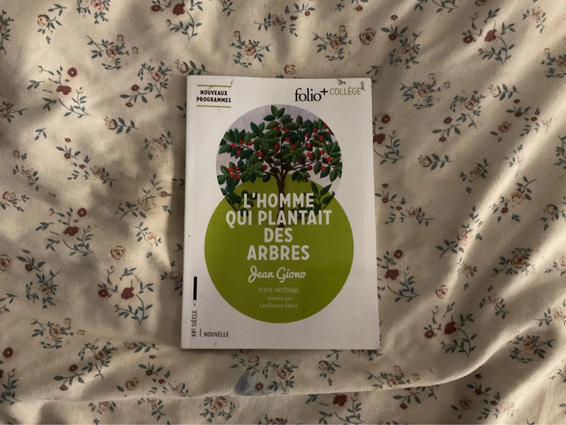 Livre l’homme qui plantait des arbres