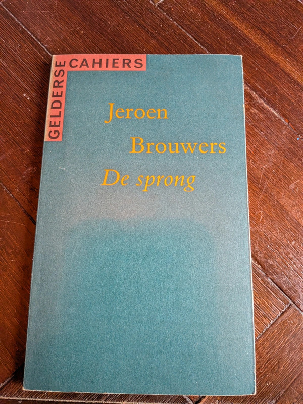 Jeroen Brouwers de sprong