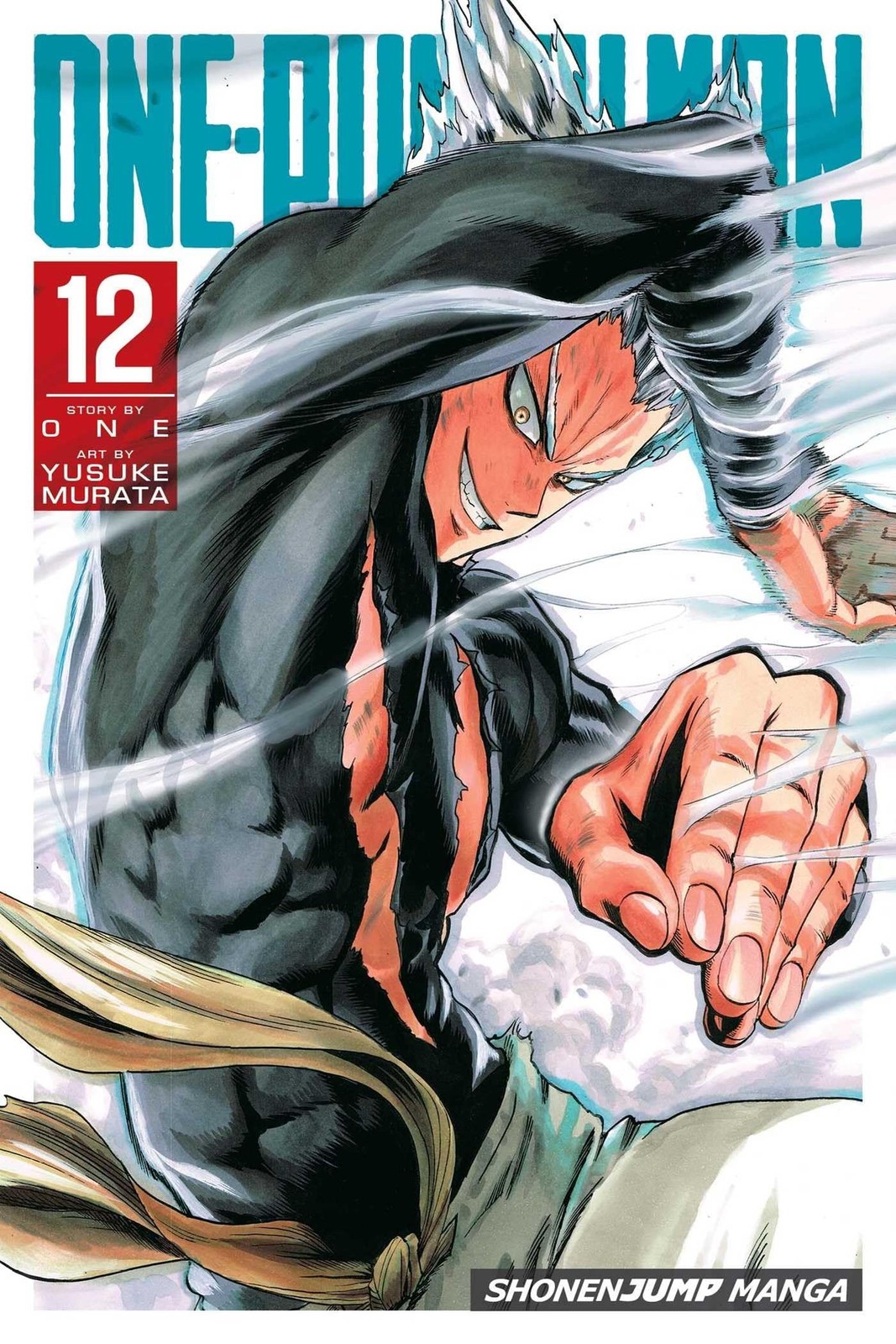 One-Punch Man, vol. 12