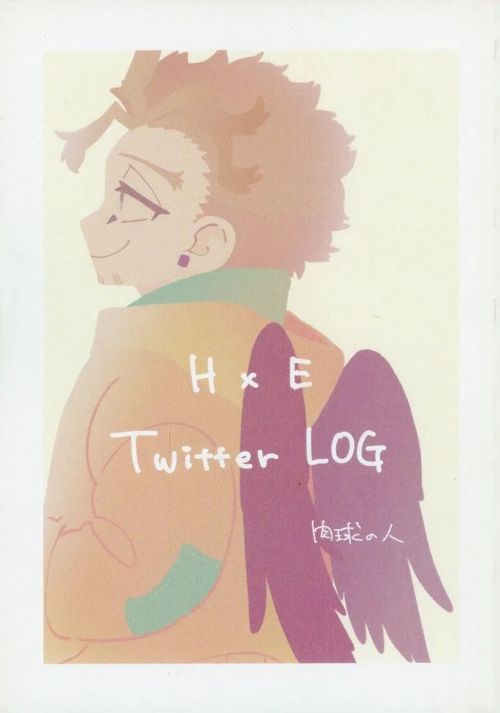 Hawks & Endeavor My Hero Academia Doujinshi A5 132p Full Color Usato [Età 13+]