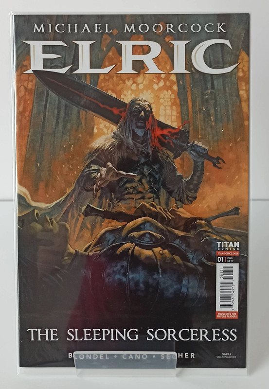 Elric: The Sleeping Sorceress 1 Regular Cover Titan Comics