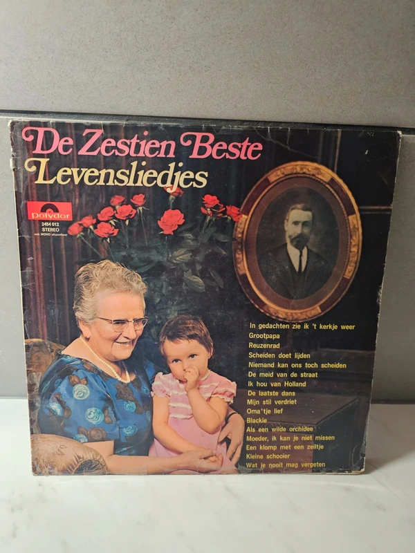 Various Artists – De Zestien Beste Levensliedjes (LP) | Vintage Polydor