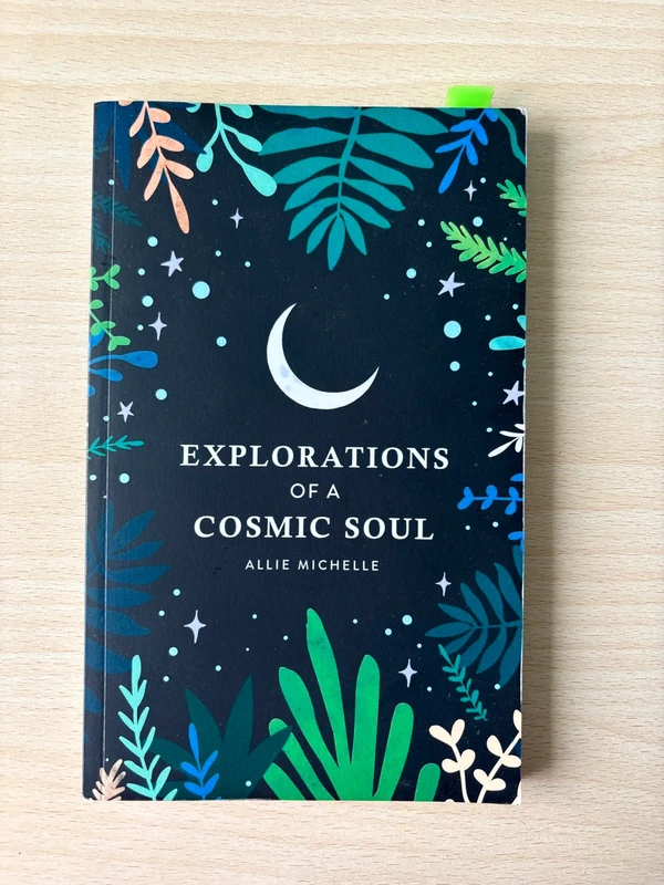 Explorations Of A Cosmic Soul, Allie Michelle