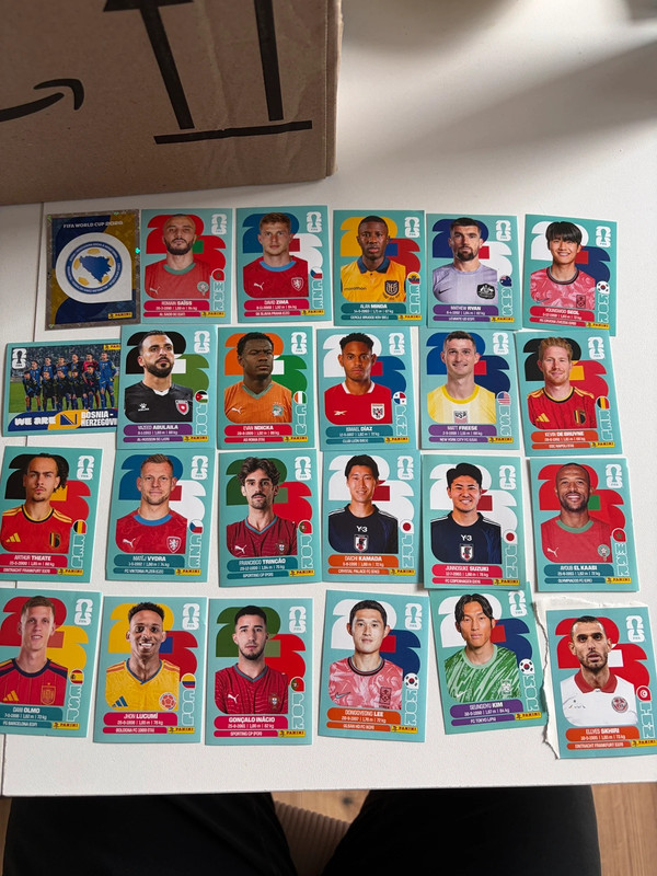 Panini WM 2026 Sticker