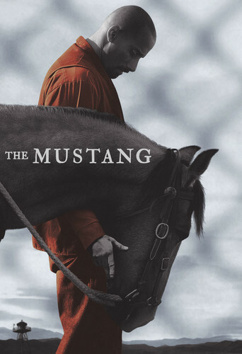 The Mustang (DVD, 2019)Disc only "No Box or Artwork" Free Ship
