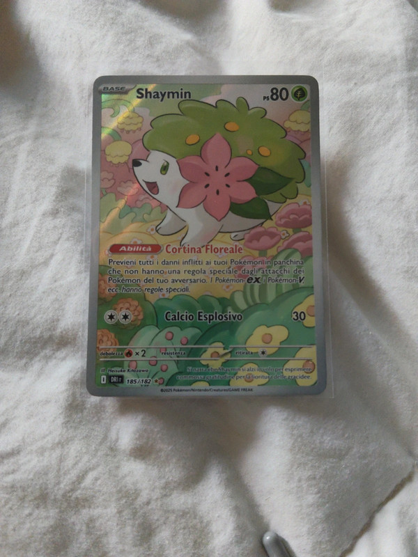 Shaymin 185/182
