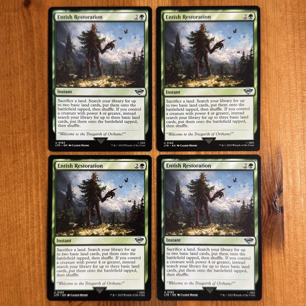 x4 Entish Restoration U 0163, NM Play Set, MTG Il Signore degli Anelli LottoR LTR, Carte