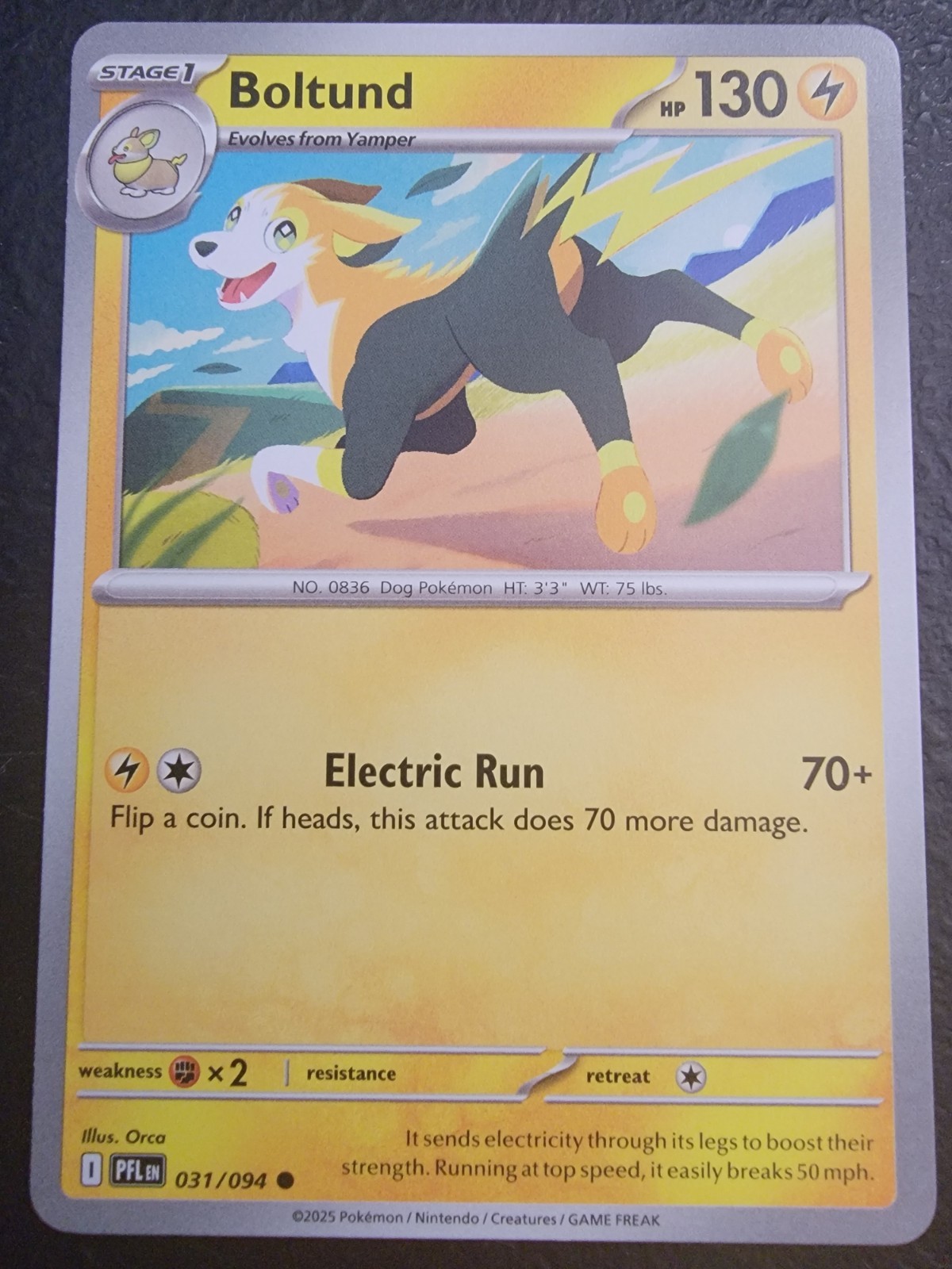 Pokemon TCG Boltund 031/094 Me02: Phantasmal Flames Regular NON-Foil