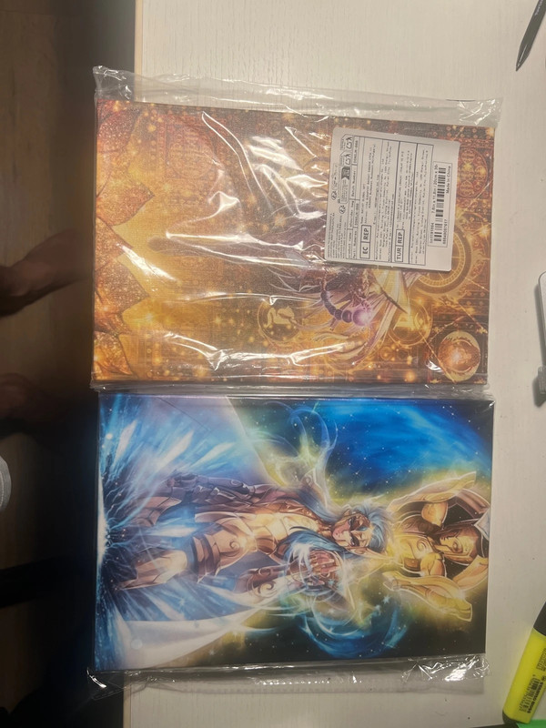 quadri saint seiya shaka e camus