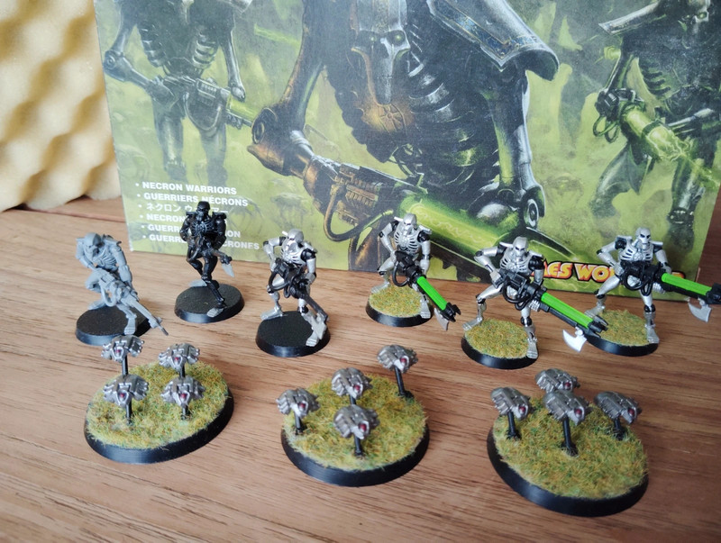 Guerriers Nécrons
