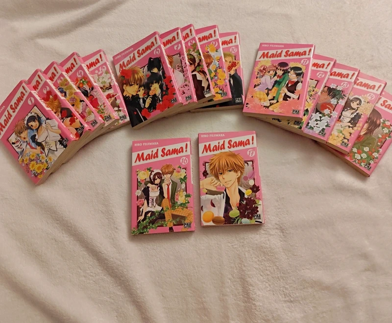 Maid Sama! Tome 1 à 17
