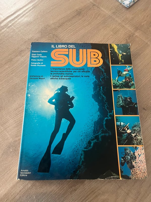 Il libro del sub-