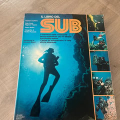 Il libro del sub-