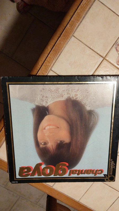 33T album d or Chantal Goya