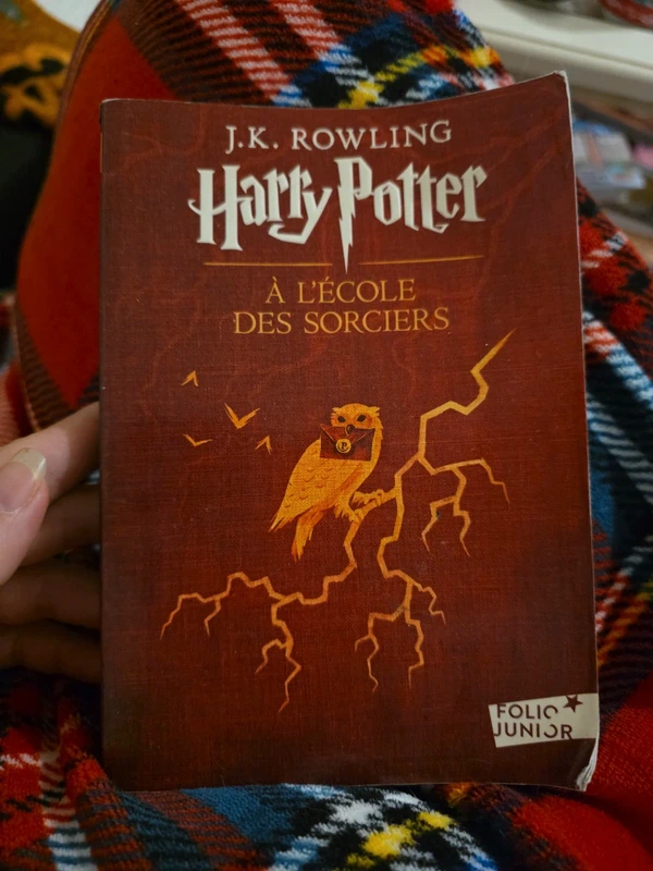 Harry potter à l'école des sorciers