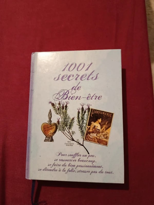 1001 secrets de bien etre - Carine Anselme Et Eve Francois