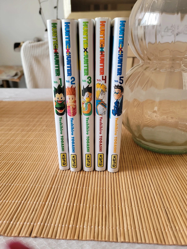 Hunter x Hunter tome 1 a 5