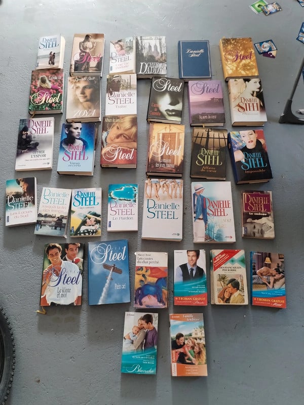 Grand lot de livre Danielle Steel