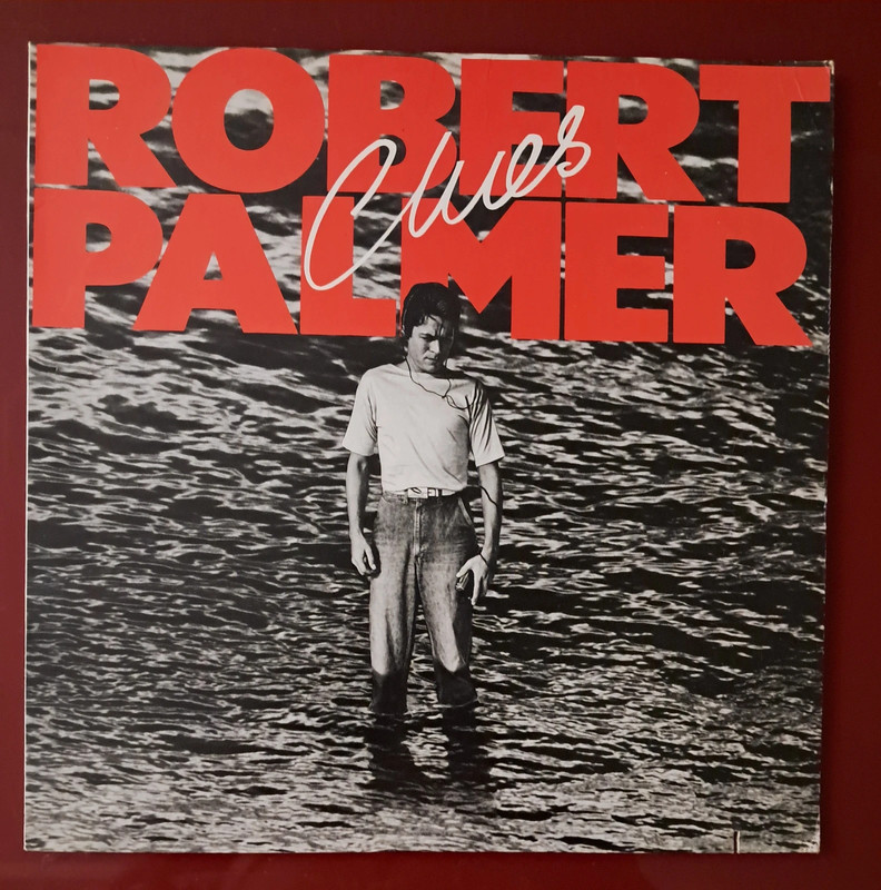 Robert Palmer, Clues