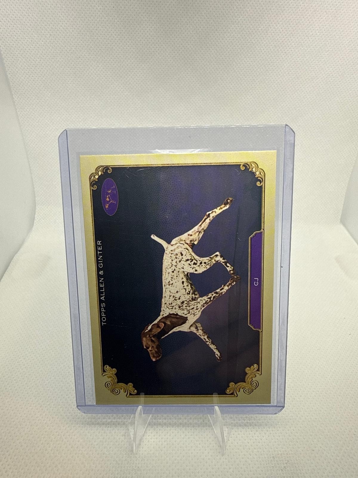 2024 Topps Allen & Ginter #SOS-17 CJ Stars of Show The Westminster Kennel Club