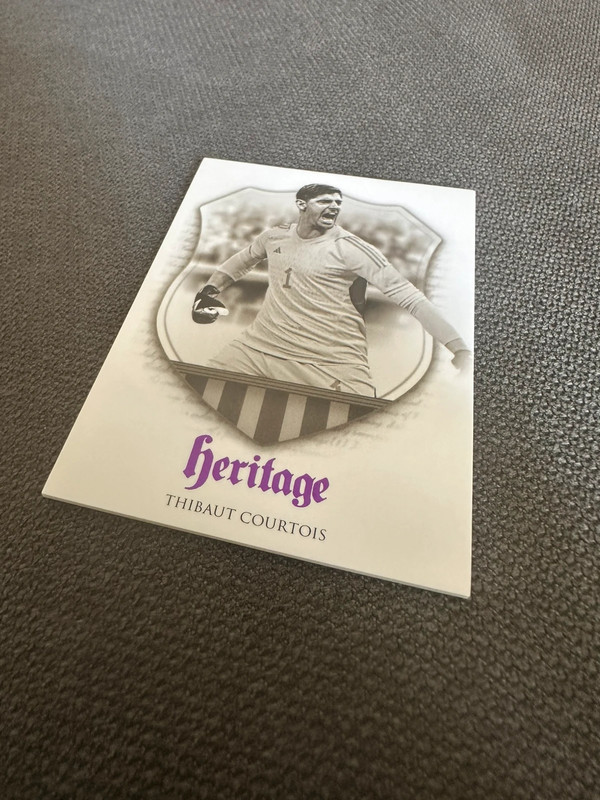 Thibaut Courtois /29 Futera