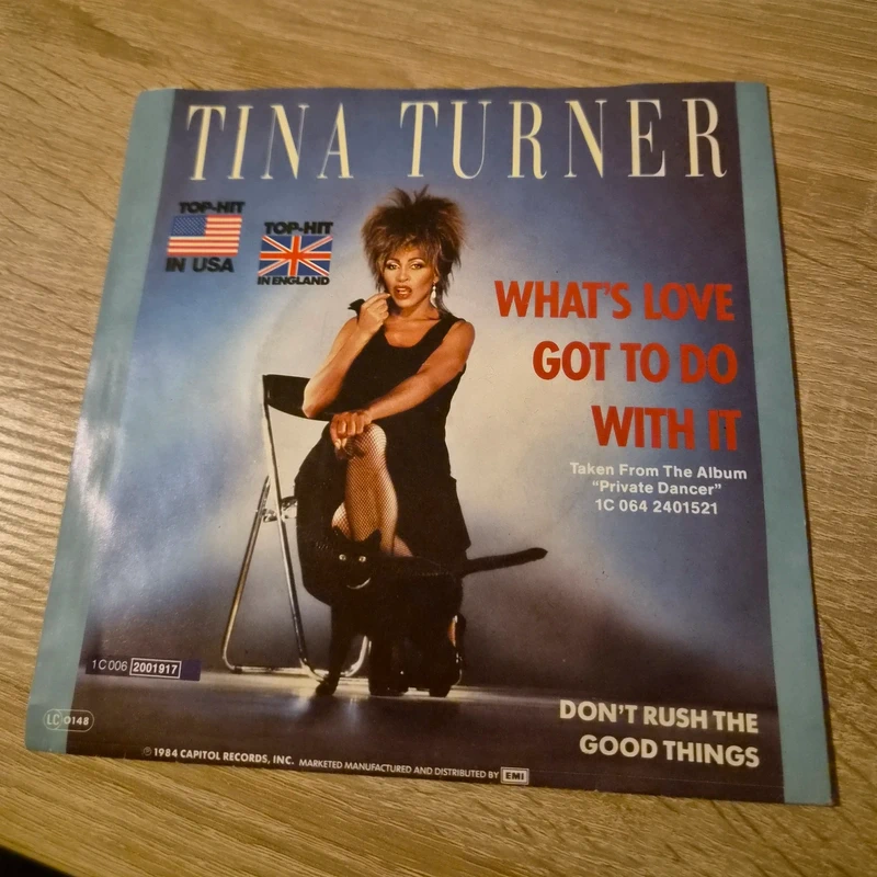 Vinyl Single Schallplatte- Tina Turner