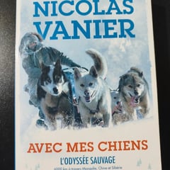 Avec mes chiens