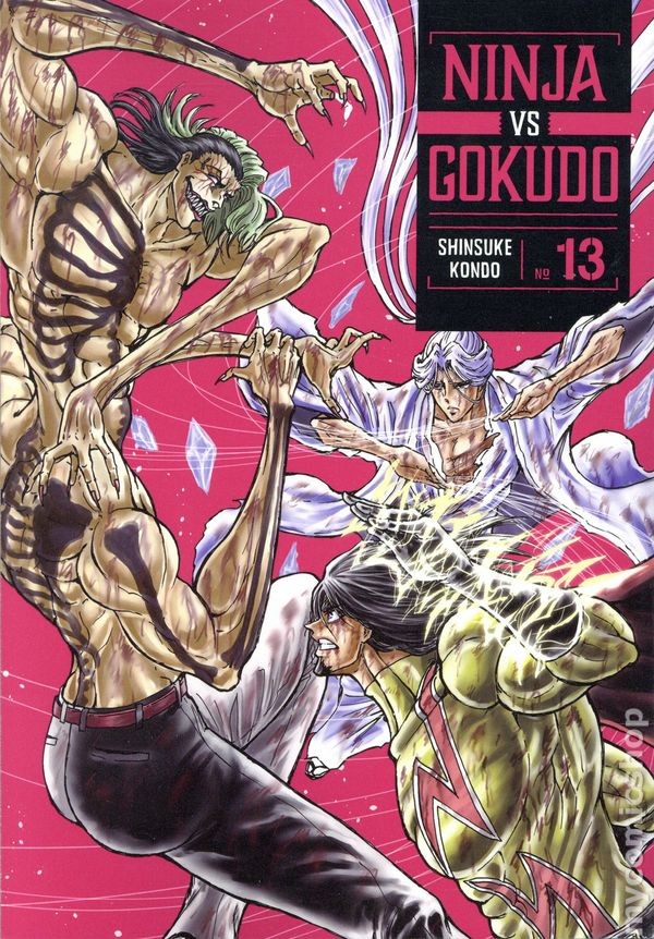 Ninja vs. Gokudo GN #13-1ST NM 2026 Immagine Stock